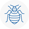 Bed Bug Extermination In Liversedge