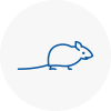 Mice Exterminators In Liversedge